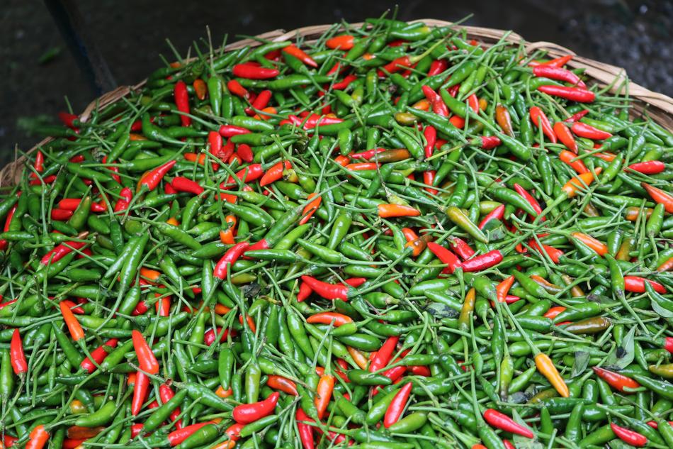 Pepper Fair