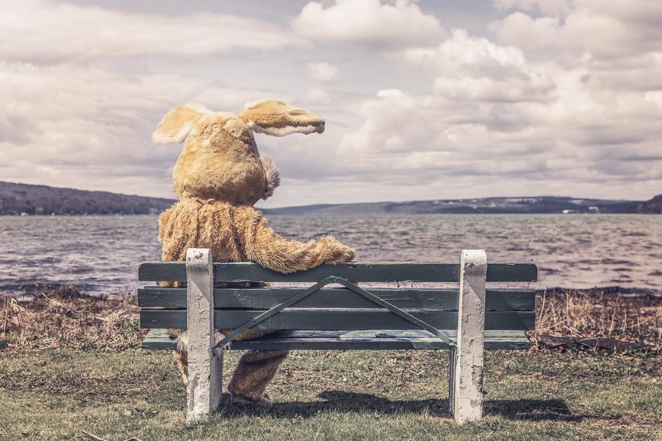 Rabbit Costume