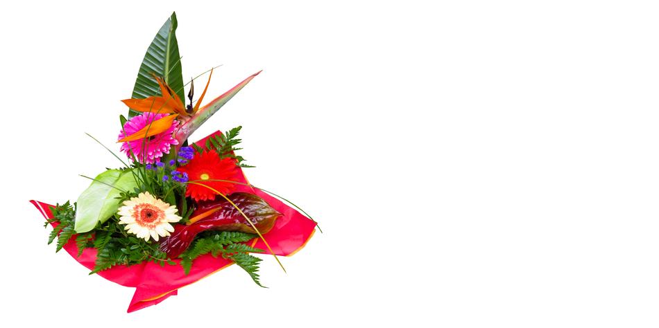 handkerchief flowers