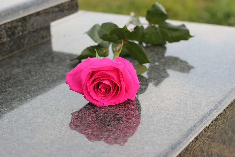 A large rose on the memorial