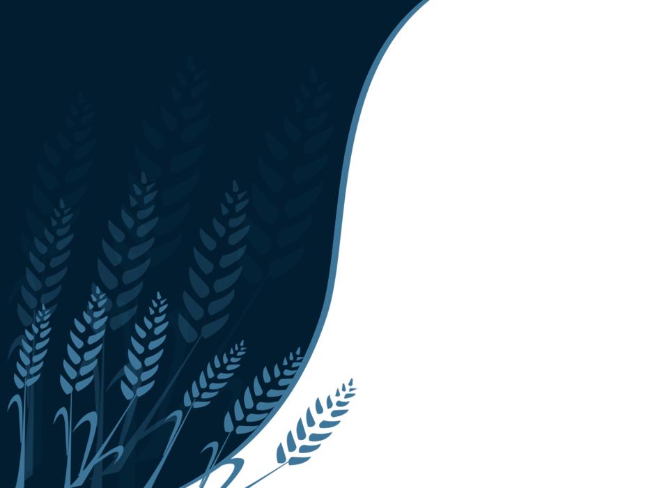 the wheat do screen