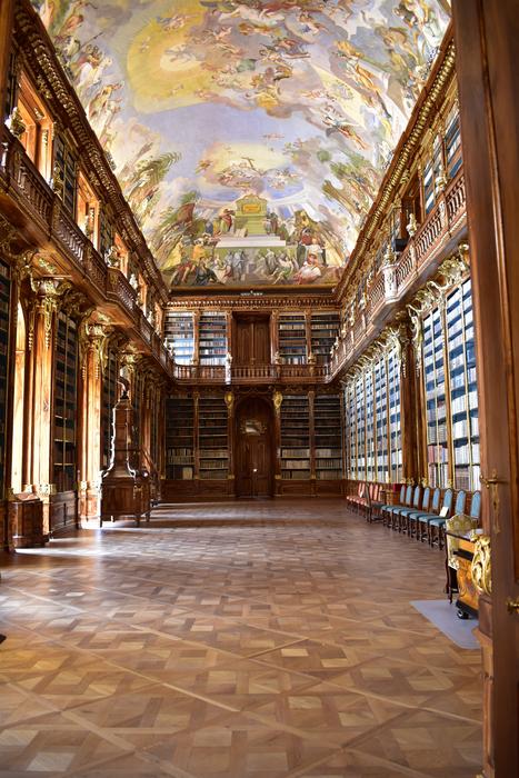 frescoes in the great hall in Library Historical