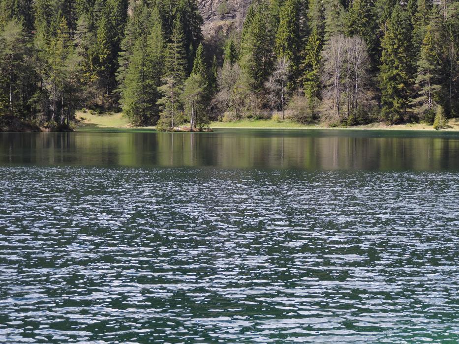 Fernsteinsee Water Green