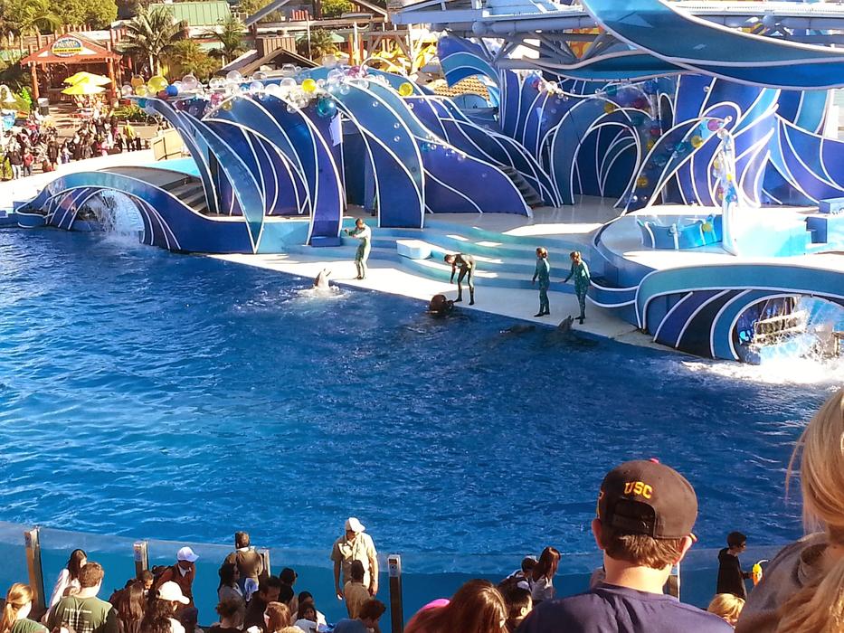 Sea World Acrobatics