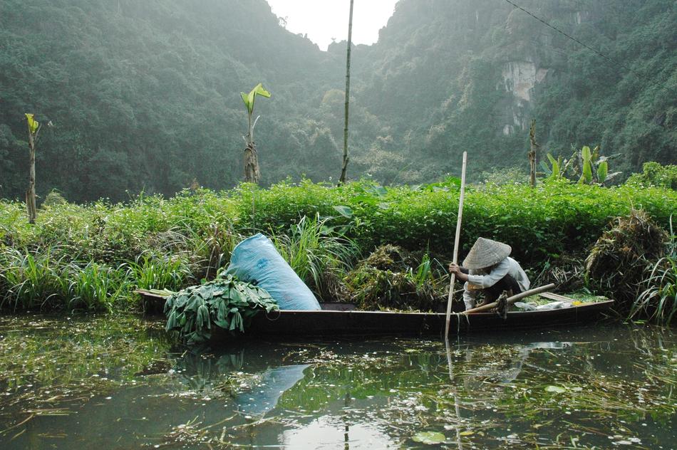 Viet Nam Culture