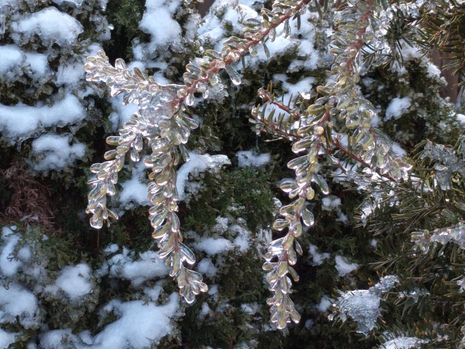 Freezing Rain Winter Ice