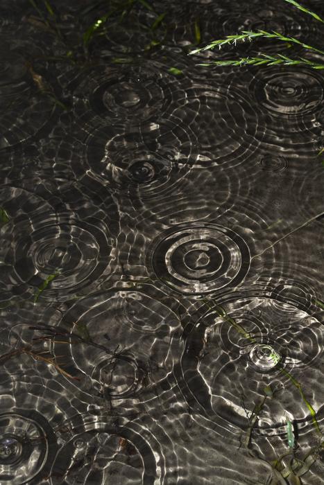 Water Wave Small River The