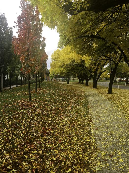 Australia Autumn Cobram