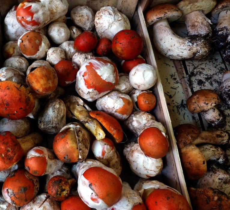 Mushrooms Imperial Inge Food