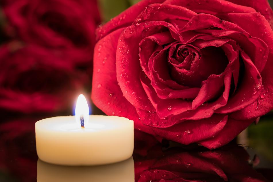 a beautiful candle with a rose