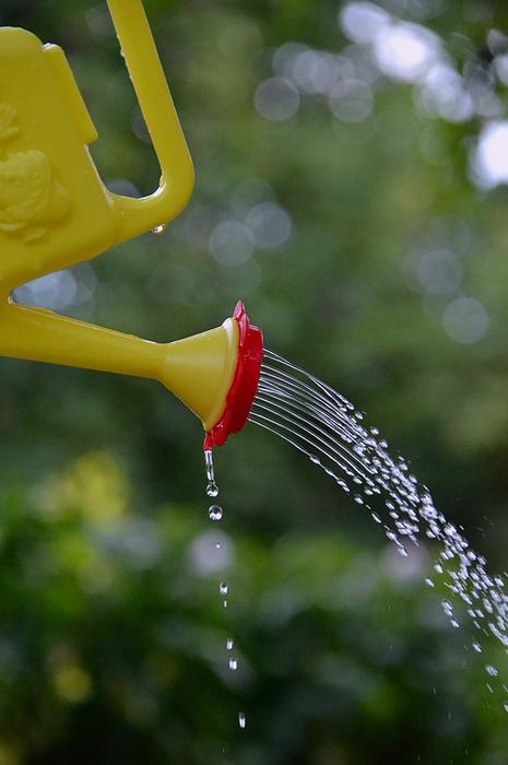 Pot Yellow Water