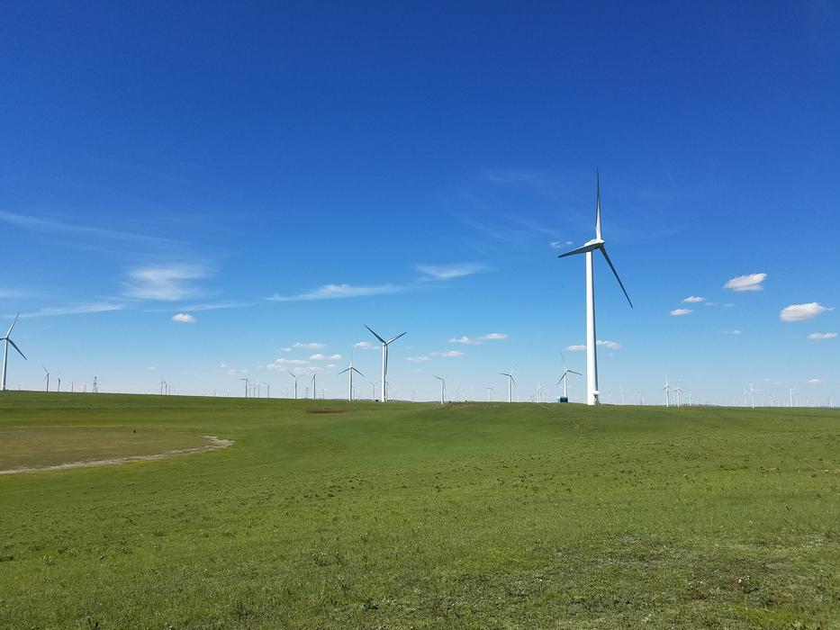 Blue Sky Fresh Air Cloud Grass