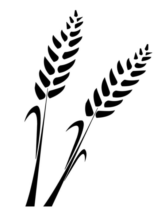 the wheat silhouette drawing