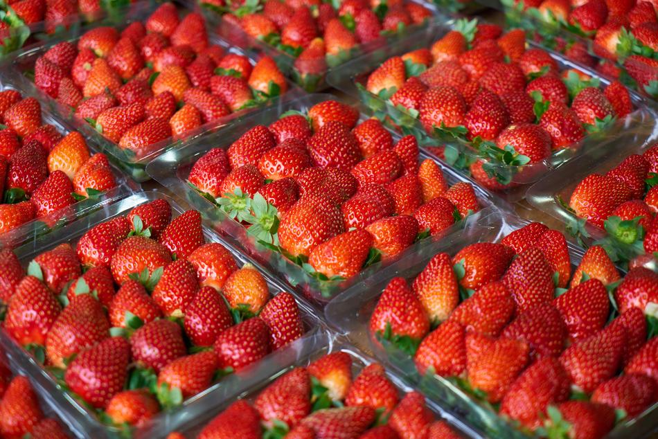 Strawberrys Macro Red