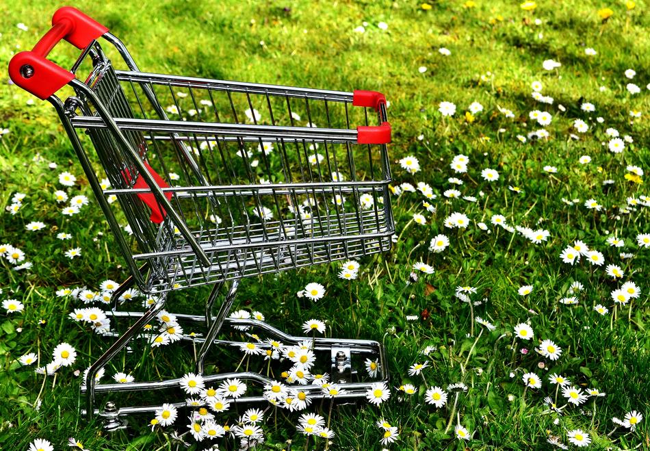 an iron wagon in a flower meadow