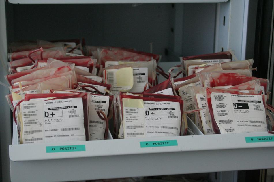 Laboratory Analysis