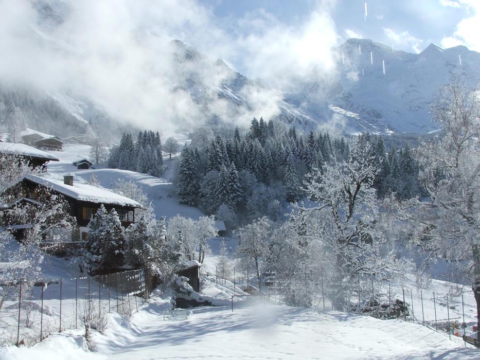 Jungfrau Winter Daylight