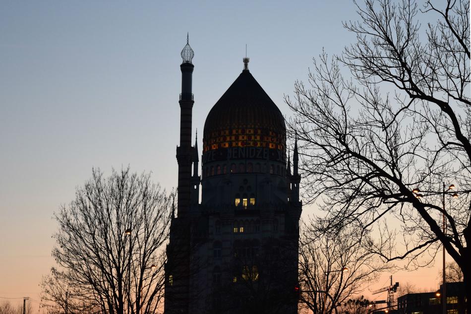 The Mosque in Vienna