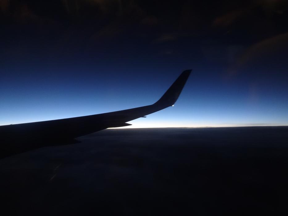 Plane wing view