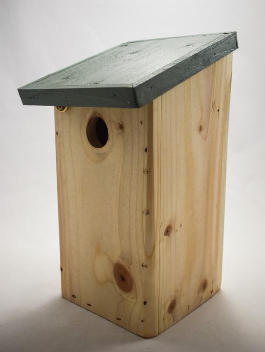 Blue Tit Nest Box Bird