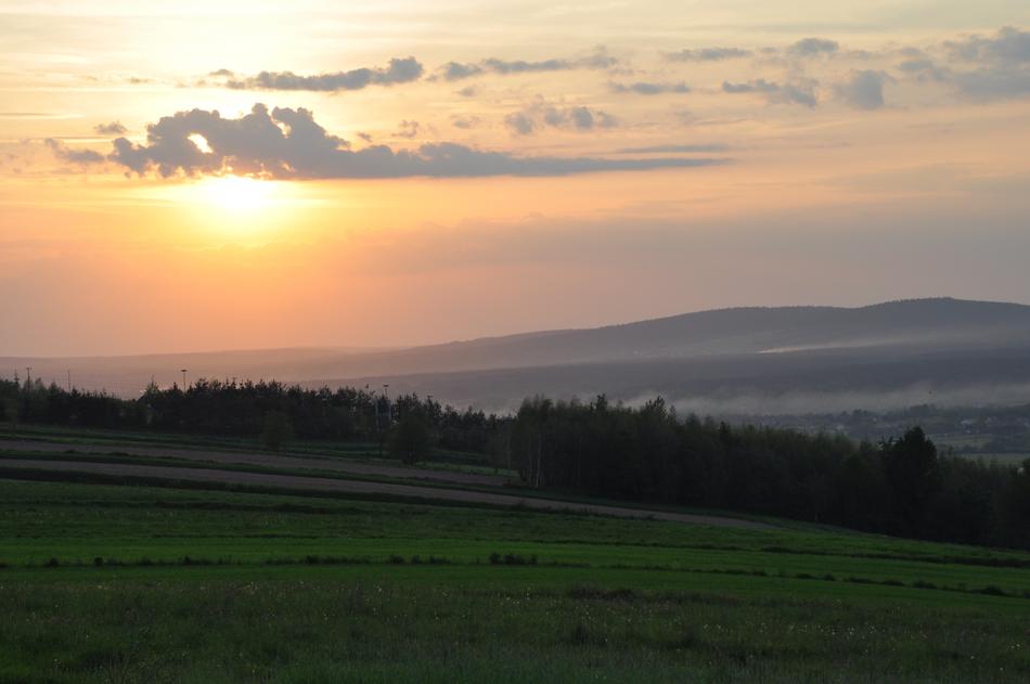 beautiful background with green grass and sunrise