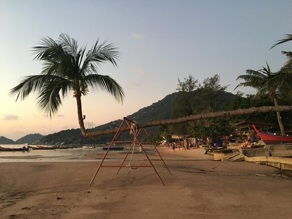 Thailand Krabi Coconut