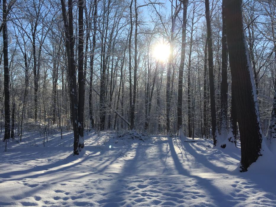 Winter Snow