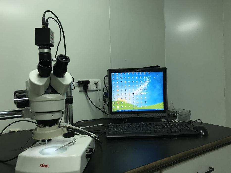An Optical Microscope Image