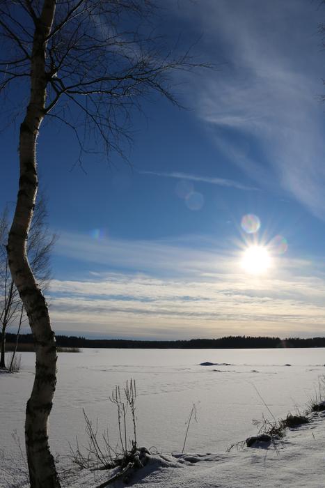 snowy field in the sunshine