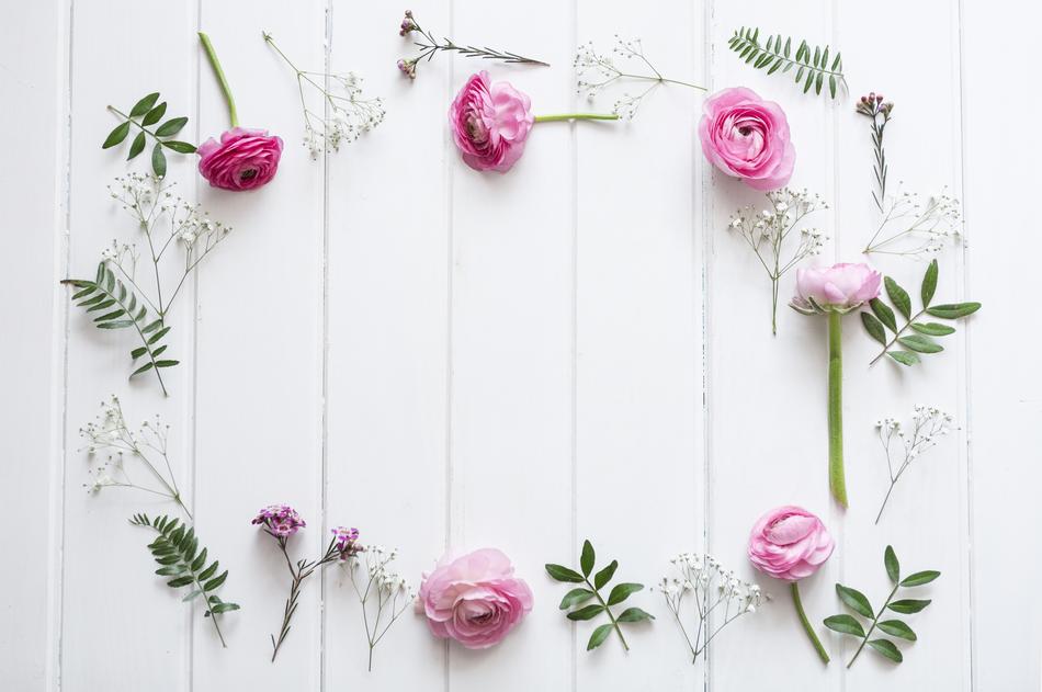 Flowers pink Background