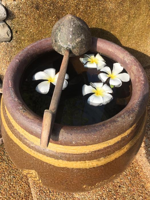 Wash Water Clean Washing