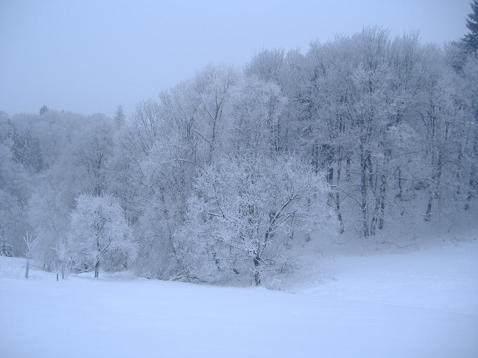 Winter Snow