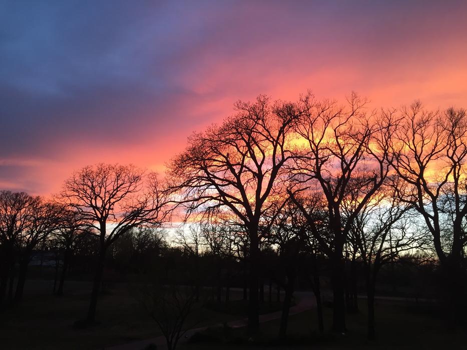 Orange Sunset at skyline