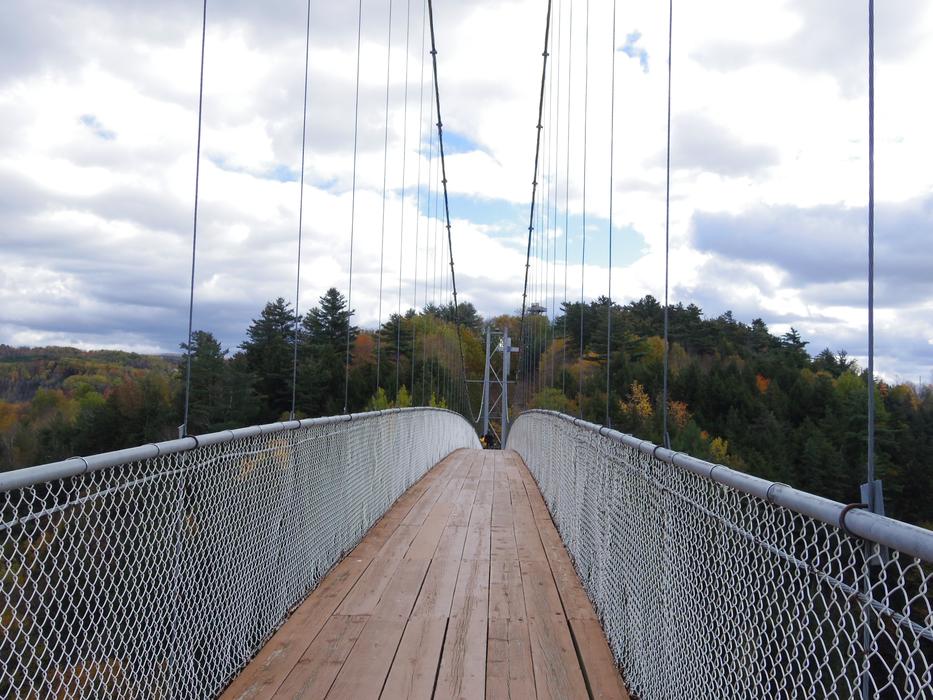 hike across the bridge into the woods