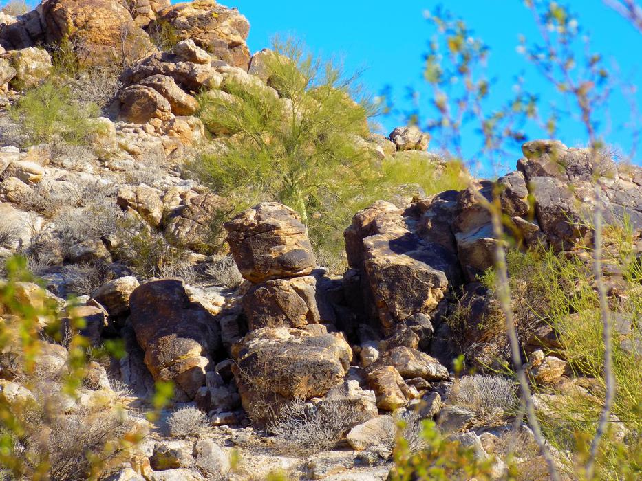 Desert Arizona White Tank