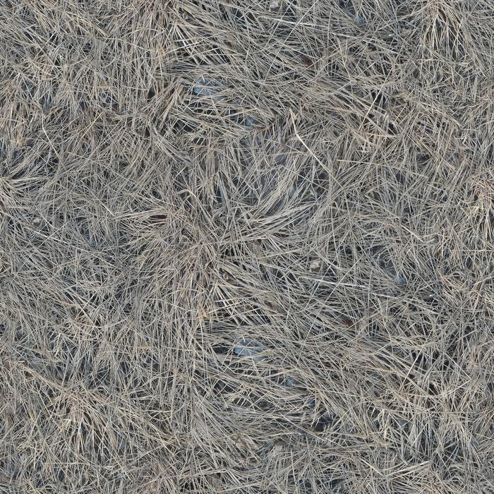 Texture of the grey dry grass