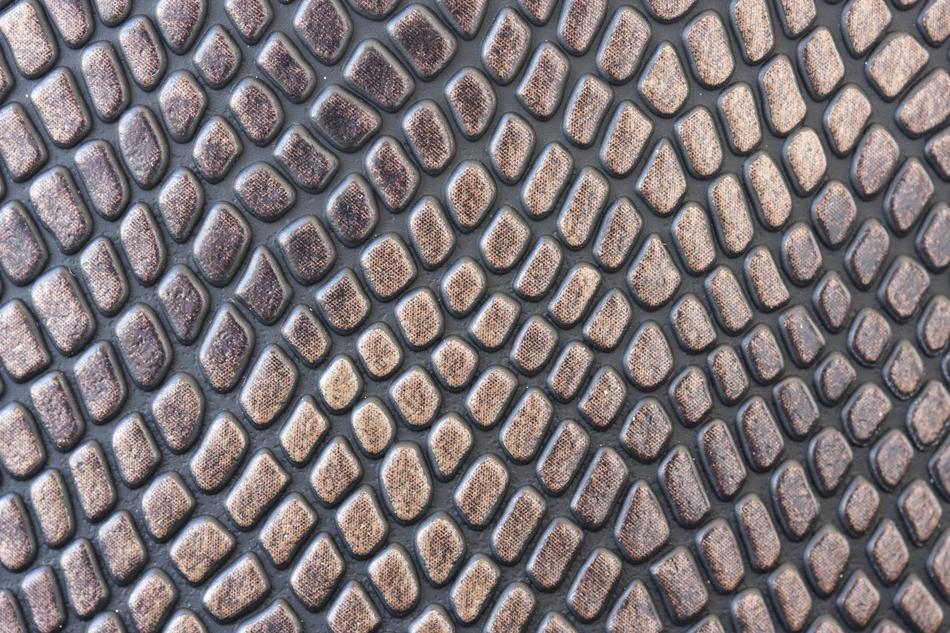 Skin Crocodile as a background