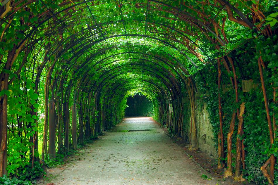 Green Tunnel Natural