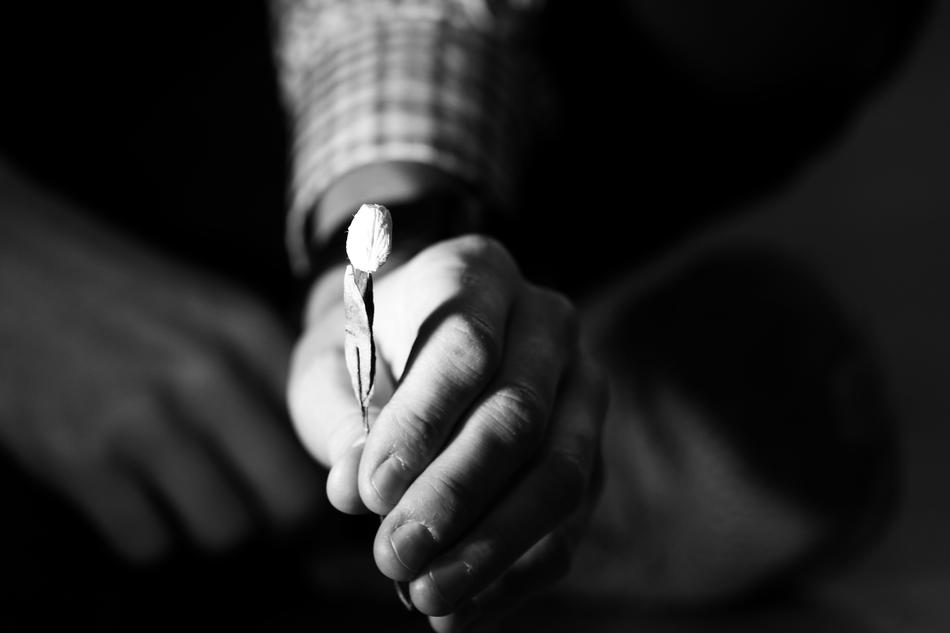 small flower in hand