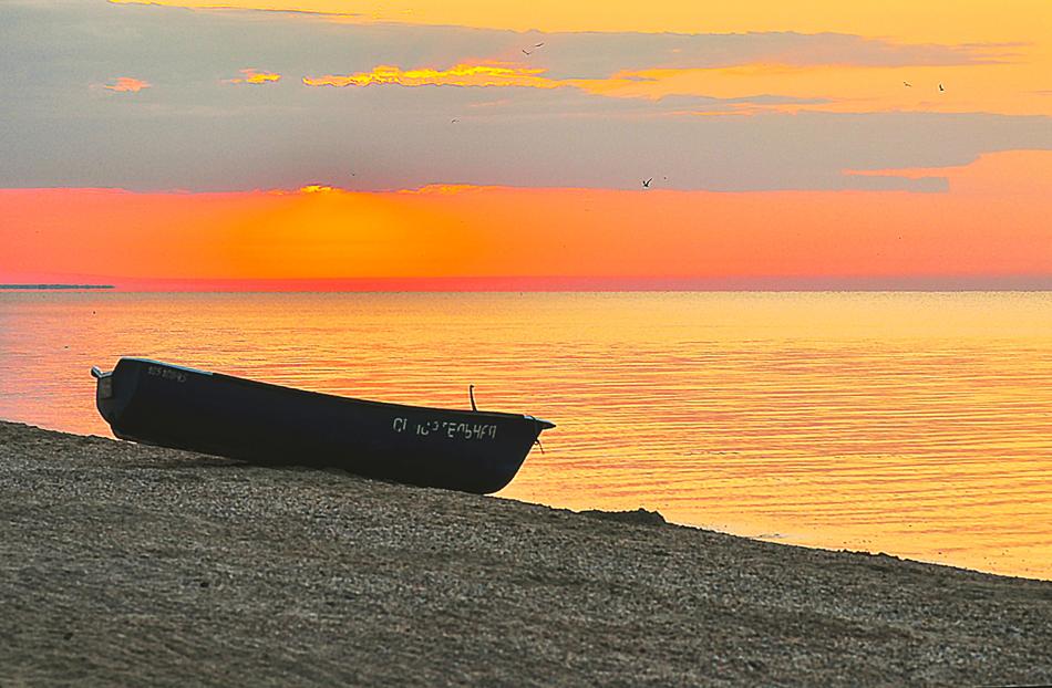 Beach Boat in Summer