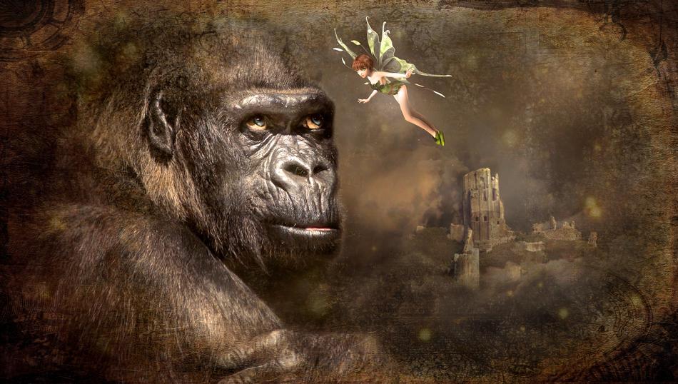 fairy tales elf gorilla composing