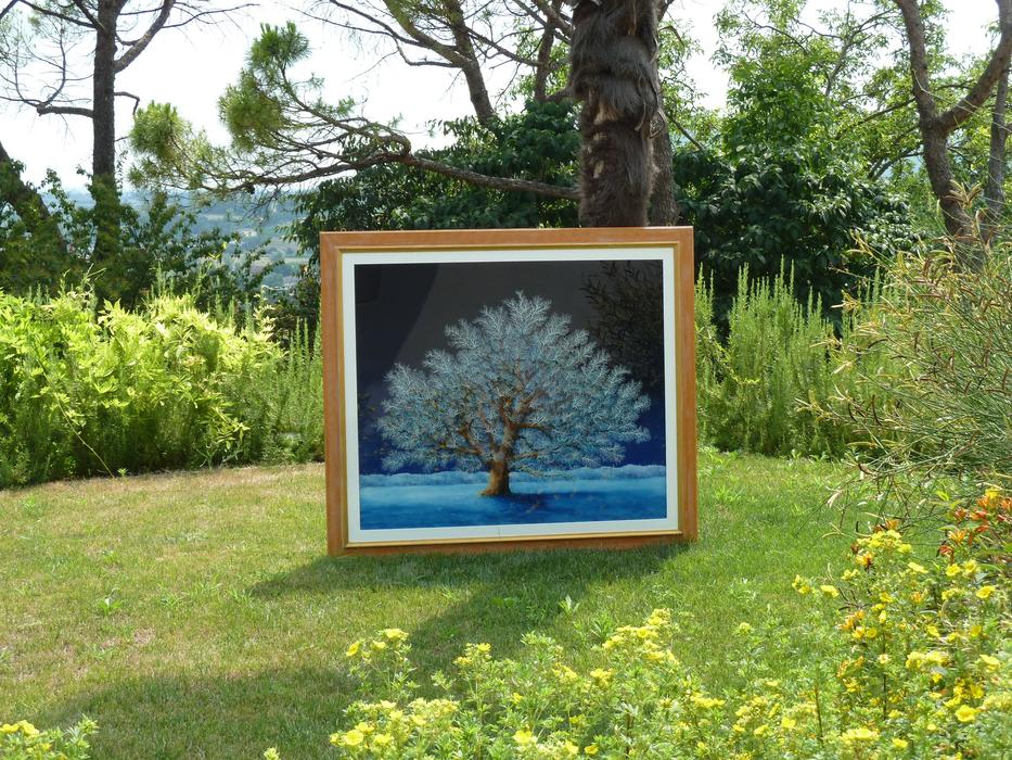 Oak Blue Carlo Busellato Oil On