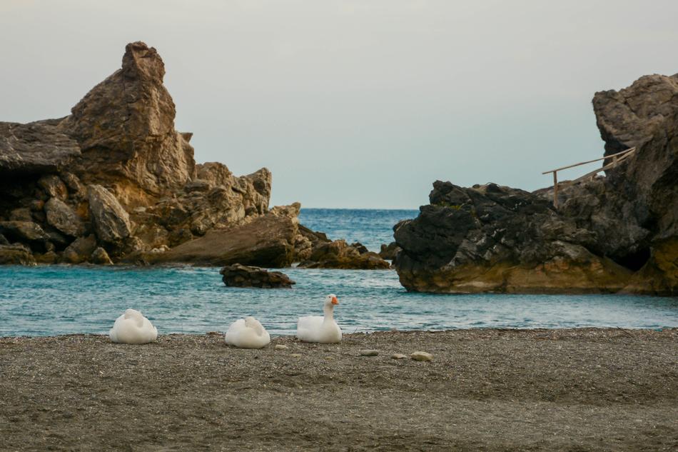 Sea Crete