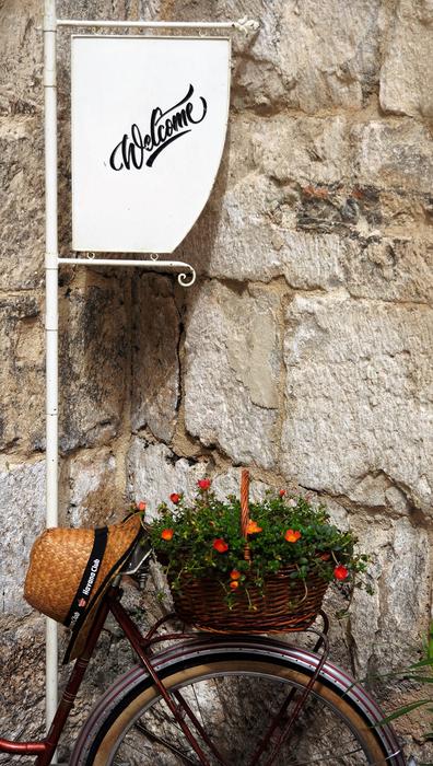 bicycle with flowers by the house