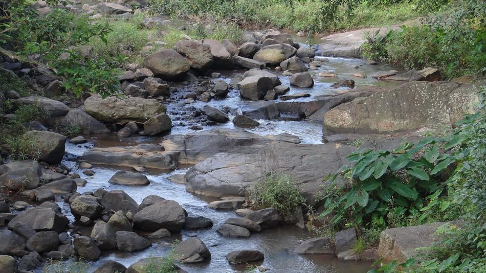 river with rocks in the woods