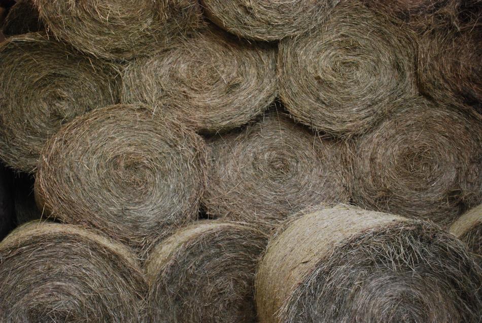 Hay Round Ball