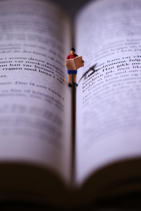 a flower hidden in a book