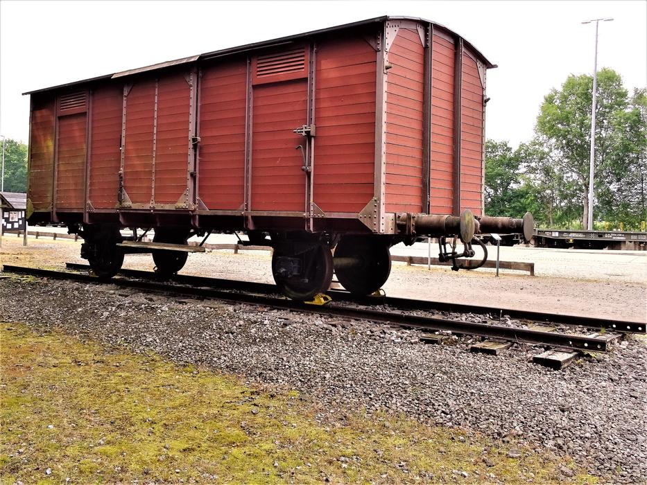 Bergen-Belsen Wagon Train