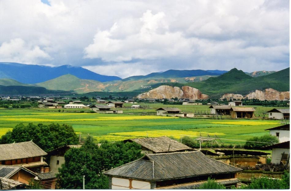 green field in the village