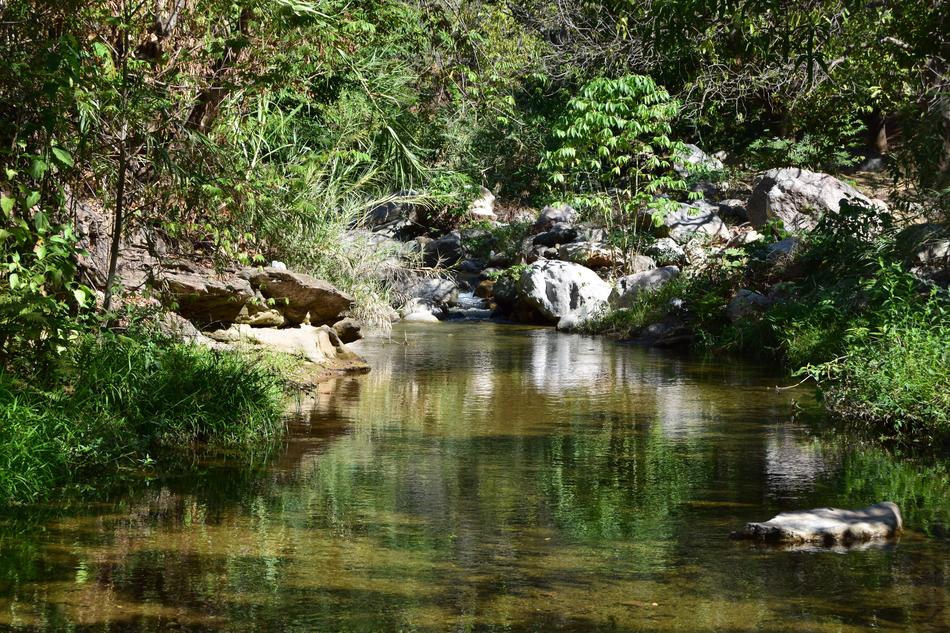 River Brook